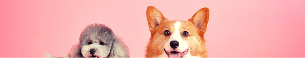 κατοικίδια