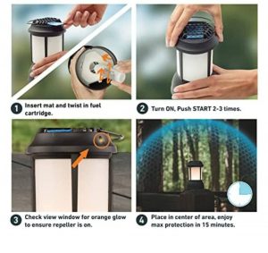 288996555 264341639230228 7309855121713174826 n Parathiro