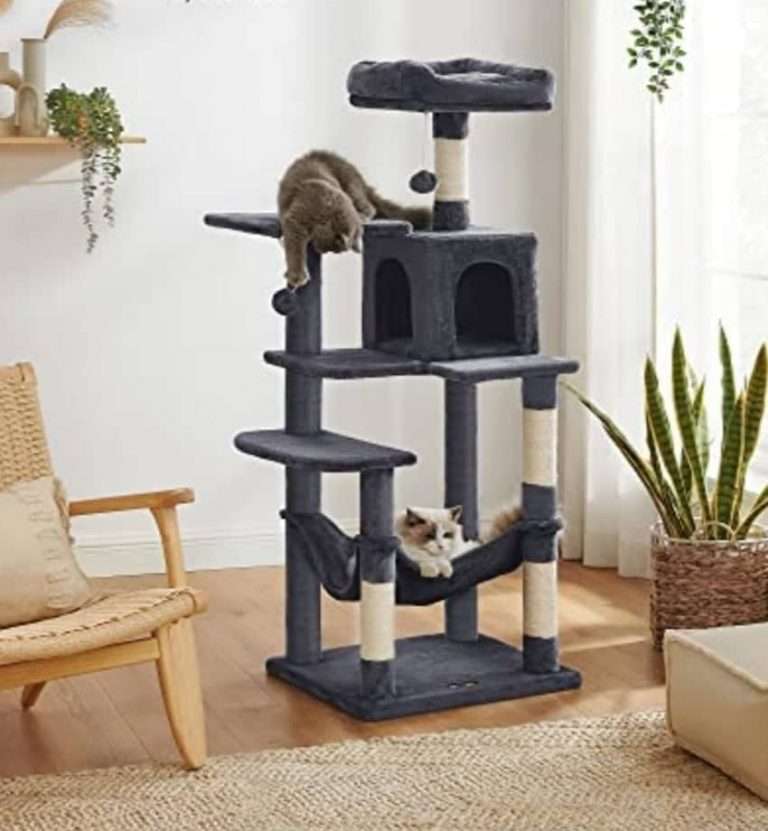 γατόδεντρα