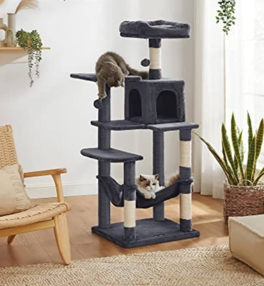 γατόδεντρα