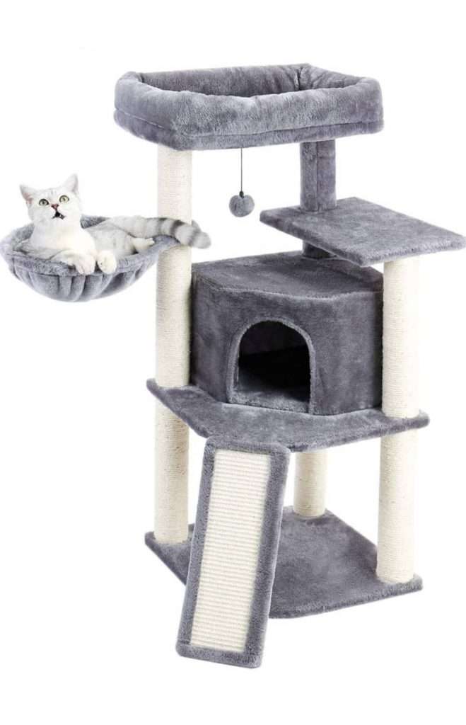 Γατόδεντρο