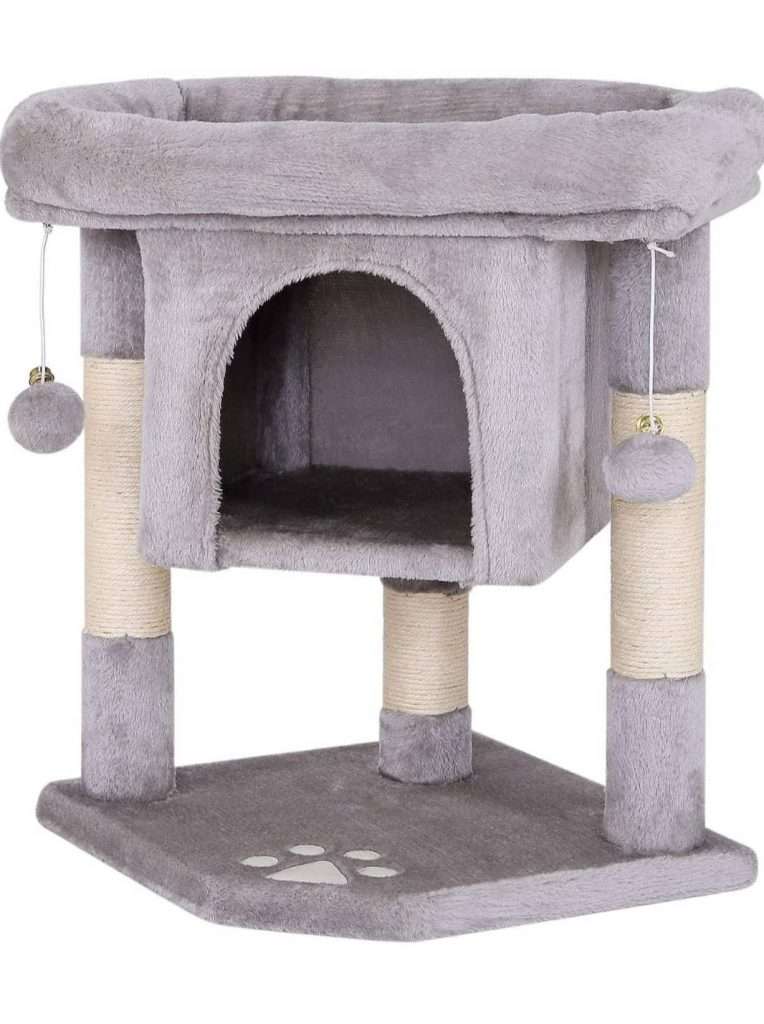 μικρό γατόδεντρο