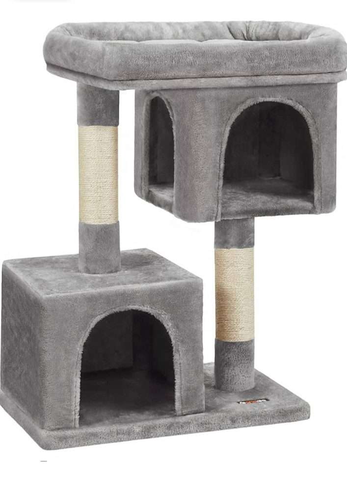 μικρό γατόδεντρο