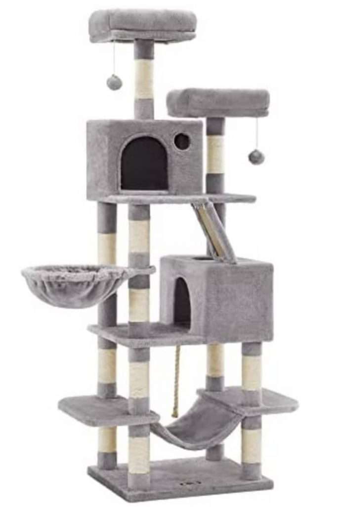 313039552 1439217603255080 5515024027859466341 n Parathiro