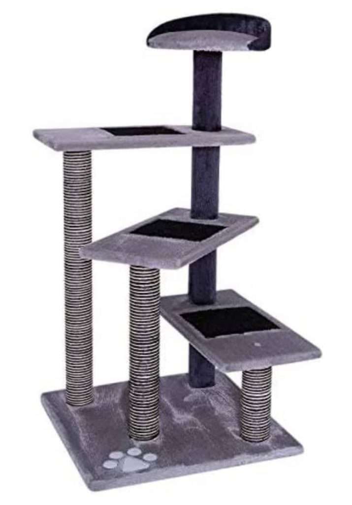 313090250 521402096497445 1558825171912426468 n Parathiro