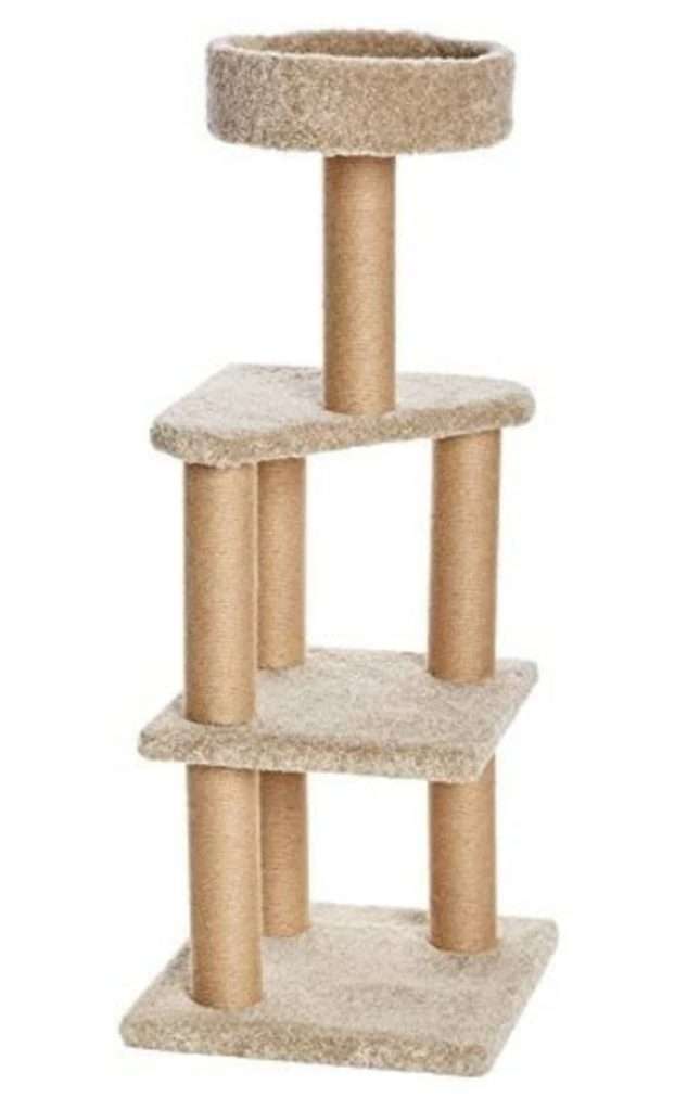 313103751 642177483943020 4874321867855986240 n 1 Parathiro