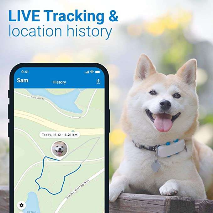dog tracker