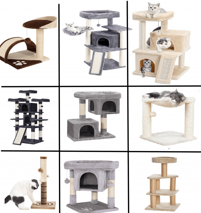 γατόδεντρο/ονυχοδρόμιο