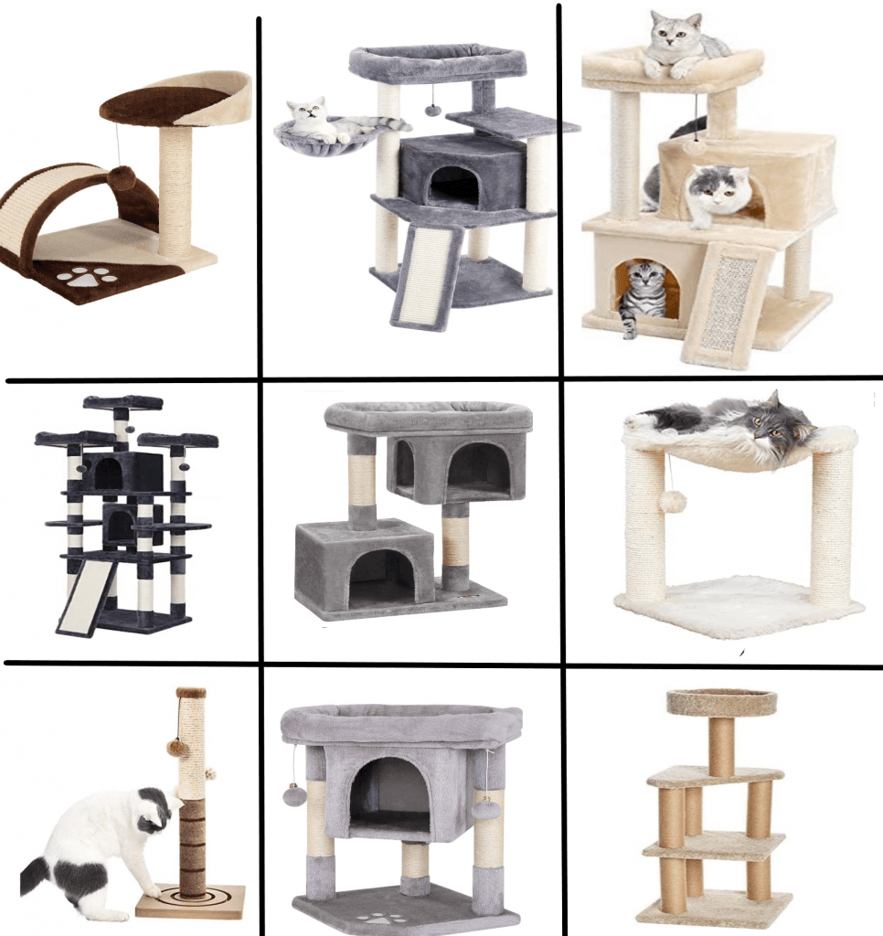 γατόδεντρο/ονυχοδρόμιο