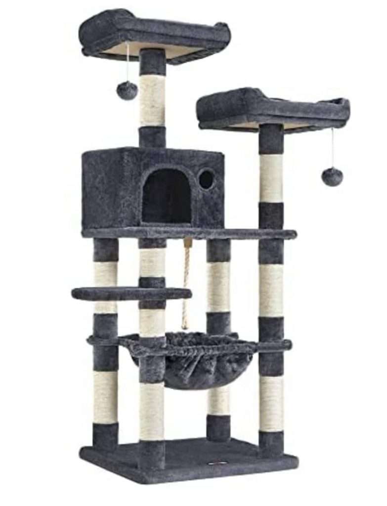 μεγάλο γατόδεντρο 1 Parathiro