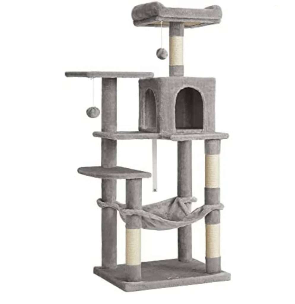 μεγάλο γατόδεντρο (2)