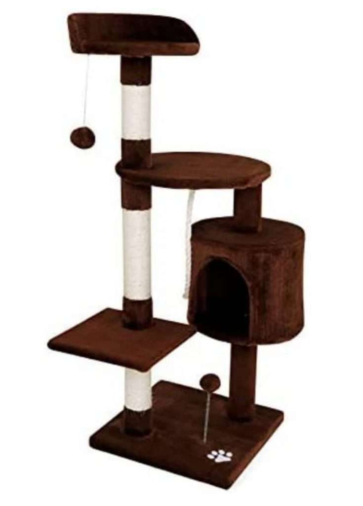 μεγάλο γατόδεντρο