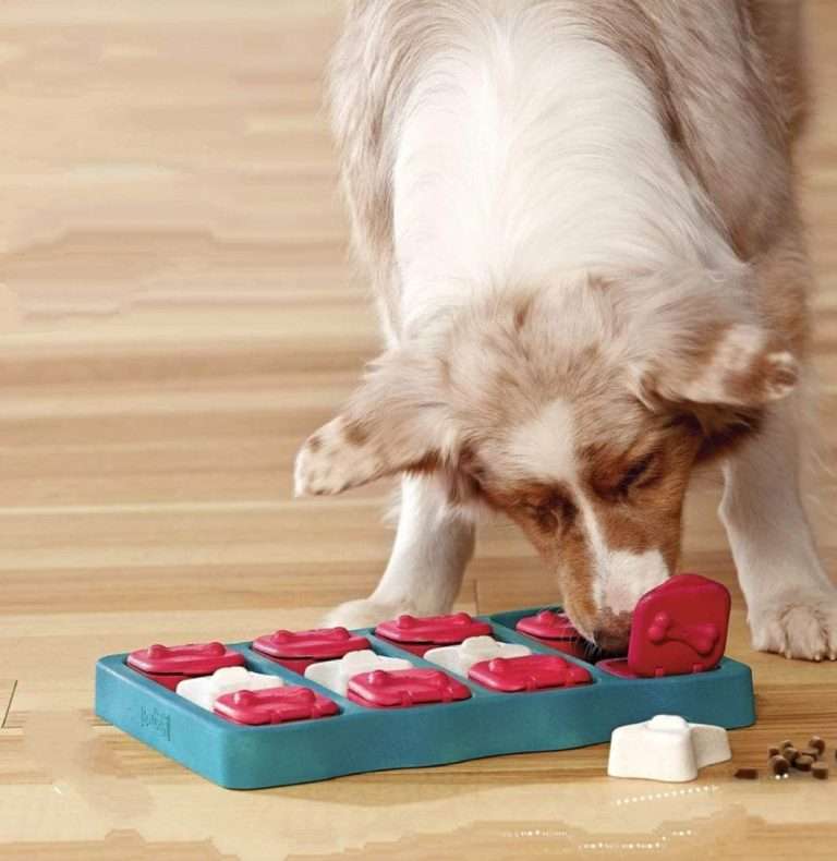 333966686 903118554230261 7200641804664011044 n Parathiro