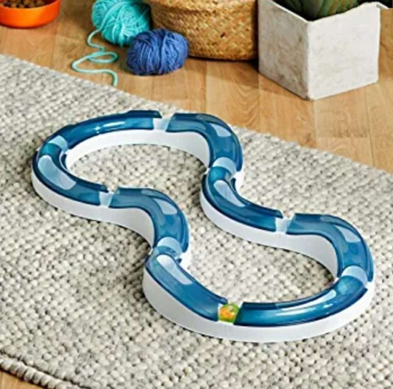 334022957 917722112879764 5118291042895816015 n Parathiro