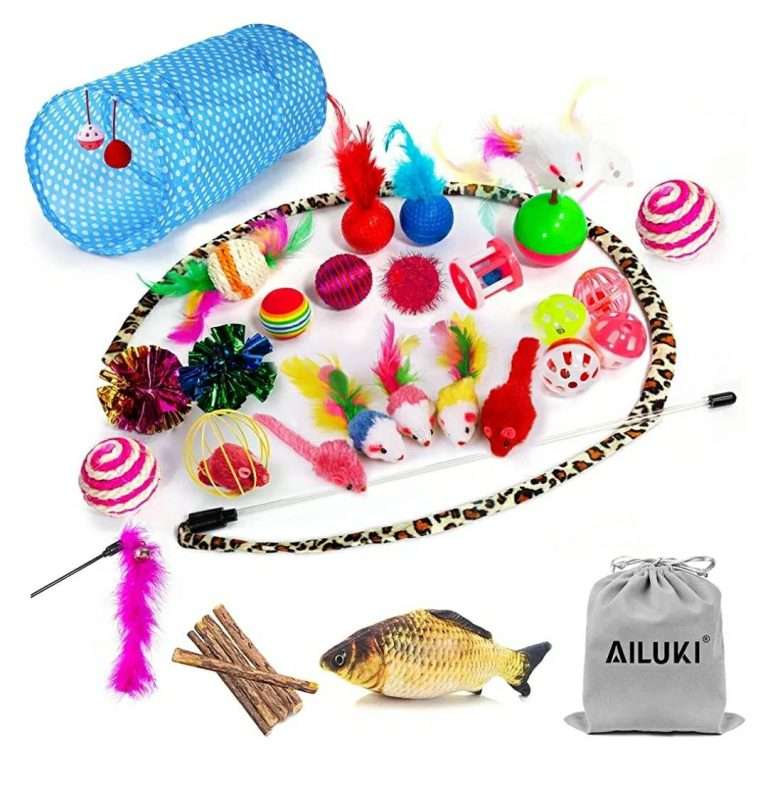 334073745 482062697347787 5317230083607658511 n Parathiro