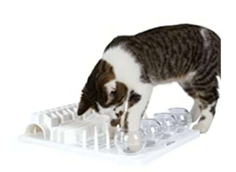 334238864 613829716883145 4640944396727434535 n Parathiro