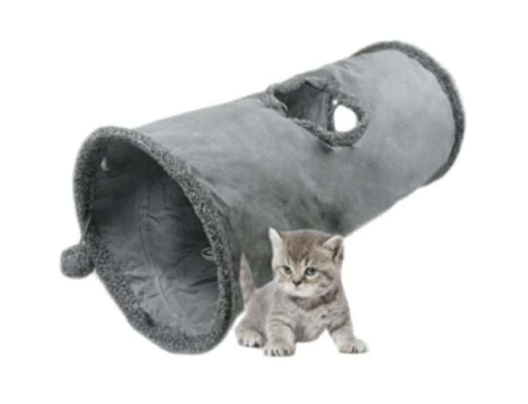 334334398 231794949236369 6299584979892648814 n Parathiro