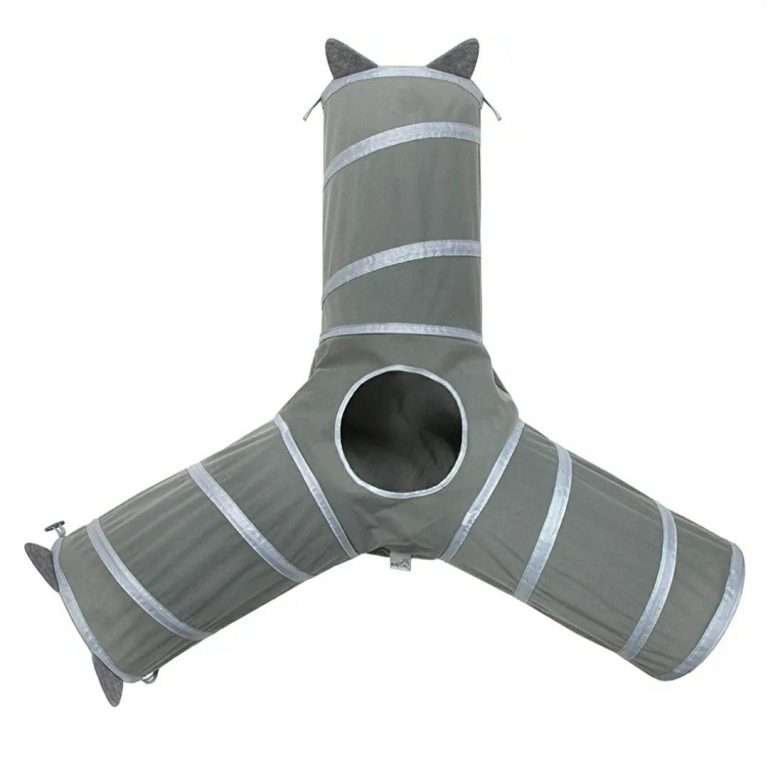 336774272 200906489217656 3491632273036716314 n Parathiro