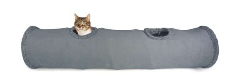 336805405 175871441918303 256525500600911381 n Parathiro