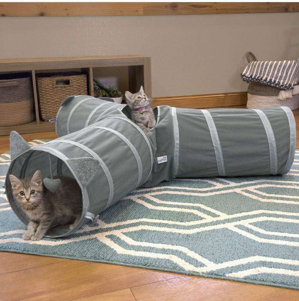 336967644 1540818833077930 8519450450272437707 n Parathiro