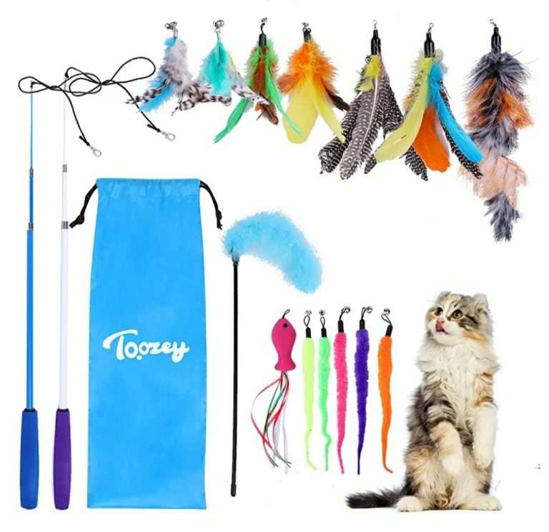 336984223 570096495093863 6546296257062971557 n Parathiro