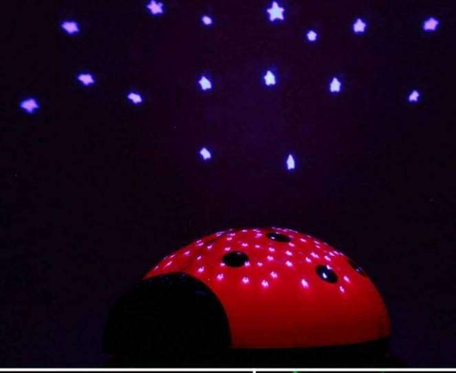 339738303 248259911005914 821224156027814144 n Parathiro