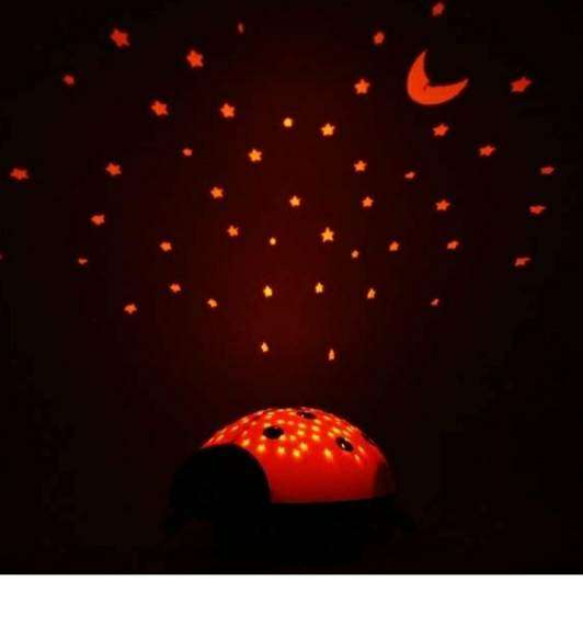 339862287 1629110837516932 8884233925982162726 n Parathiro