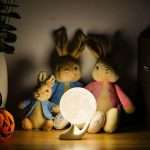 343093287 195337963320223 7211704870669389874 n Parathiro